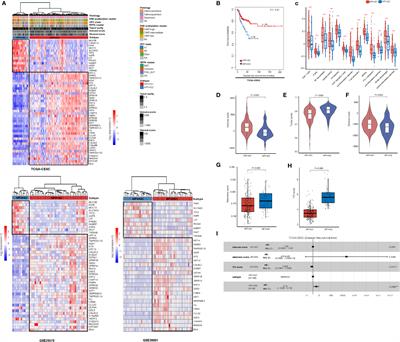 Subtyping of Human Papillomavirus-Positive Cervical Cancers Based on the Expression Profiles of 50 Genes